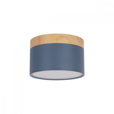 10162 Blue Накладной светильник LOFT IT Grape