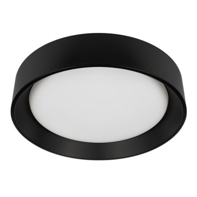 10202 BB  Потолочный светильник  LOFT IT Coin