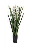 29BJ-911-45 Орхидея Цимбидиум (Cymbidium) искусств. белая в горшке h110 см