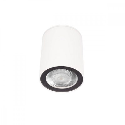 10344 White Накладной светильник LOFT IT Rush