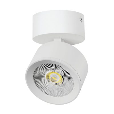 Светильник накладной LED 15W Alta Pro Lightstar A5536SO