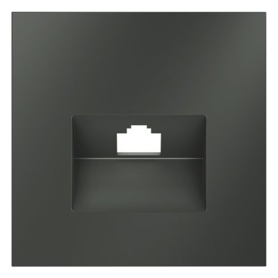 Накладка для розетки компьютерной RJ45 кат.6 и розетки телефонной RJ11 кат.3, S70 (титан)