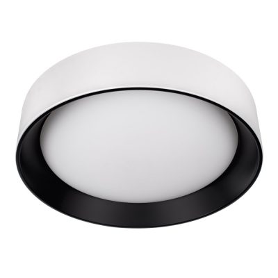 10202 WB  Потолочный светильник  LOFT IT Coin