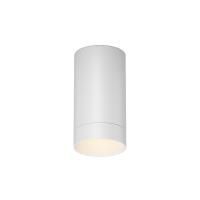Уличный потолочный светильник Outdoor O500CL-L5W3K