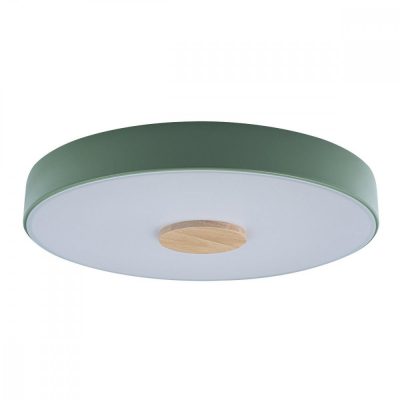 10003/24 Green Потолочный светильник LOFT IT Axel