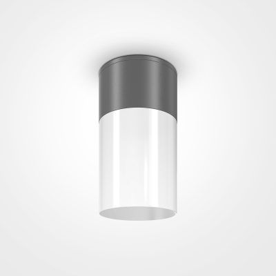 Уличный потолочный светильник Outdoor O418CL-01GR