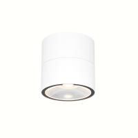 Уличный потолочный светильник Outdoor O310CL-L7W3K
