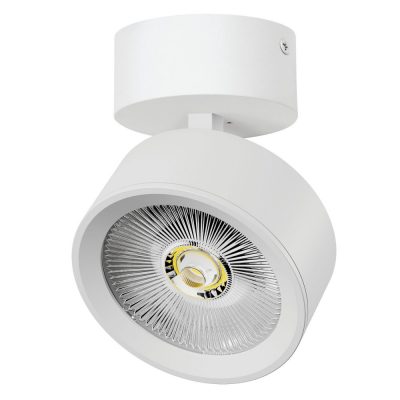 Светильник накладной LED 30W Alta Pro Lightstar A5636SO