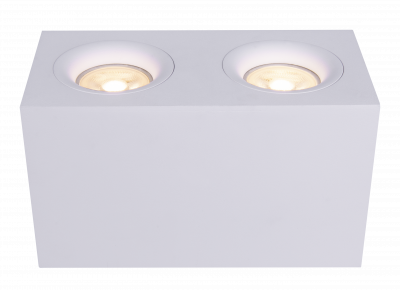 Потолочный светильник Technical C013CL-02W