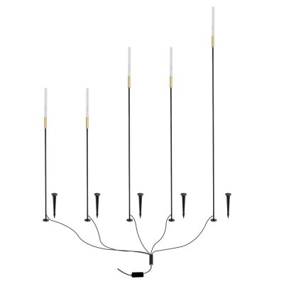Грунтовый светильник Arte Lamp MUSTER A1083PA-5BK