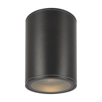 Уличный потолочный светильник Outdoor O306CL-L7GF