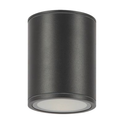 Уличный потолочный светильник Outdoor O306CL-L12GF