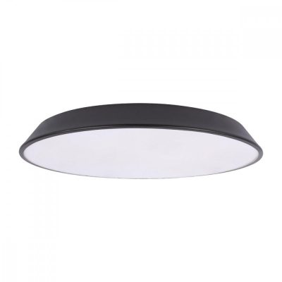 10226 Black Потолочный светильник LOFT IT Brim