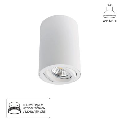 Точечный накладной светильник Arte Lamp SENTRY A1560PL-1WH
