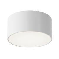 Уличный потолочный светильник Outdoor O430CL-L15W4K