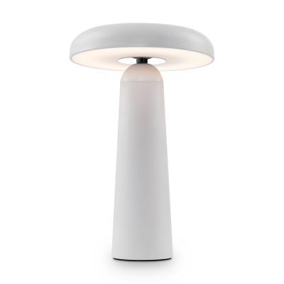 Аккумуляторный светильник Freya FR6109TL-L4W