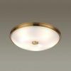 Настенно-потолочный светильник Odeon Light Pelow 4956/5