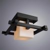 Потолочный светильник Arte Lamp WOODS A8252PL-1CK