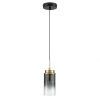 Подвес Lumion Isha 8101/1A