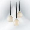 Подвес Forma Lightstar 808230