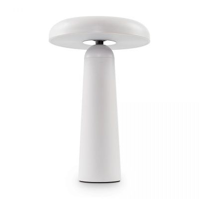 Аккумуляторный светильник Freya FR6109TL-L4W