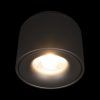 10219 Black 3000K Потолочный светильник LOFT IT Tictac