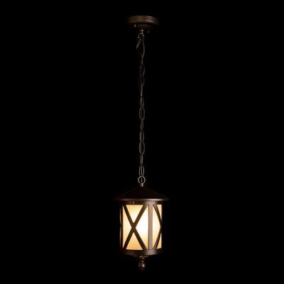 100016P Уличный подвесной светильник LOFT IT Ravenna