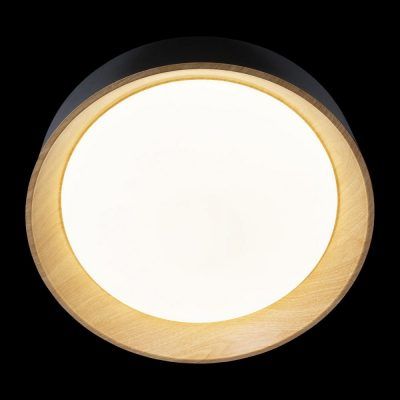 10202 Black Потолочный светильник LOFT IT Coin