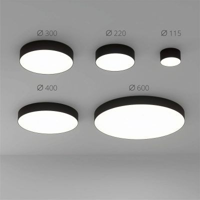 Потолочный светильник Arte Lamp FADO A7335PL-1BK