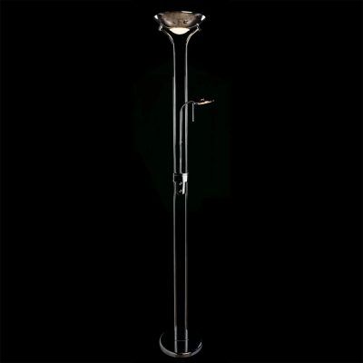 Торшер Arte Lamp DUETTO A4329PN-2CC