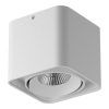 Светильник точечный накладной декоративный Monocco Lightstar 212516