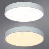 Потолочный светильник Arte Lamp ARENA A2661PL-1WH