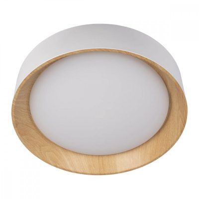 10202 White Потолочный светильник LOFT IT Coin