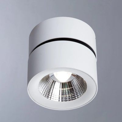 Спот Divinare URCHIN 1295/03 PL-1