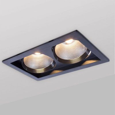 Точечный встраиваемый светильник Arte Lamp PRIVATO A7018PL-2BK