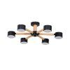 Потолочная люстра Arte Lamp TENDA A1624PL-6BK
