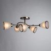 Потолочная люстра Arte Lamp INNOCENTE A6059PL-6AB