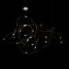 10309/21 Подвесной светильник LOFT IT Flock of Light
