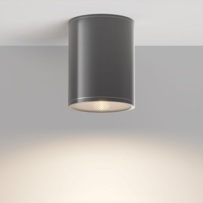 Уличный потолочный светильник Outdoor O306CL-L7GF