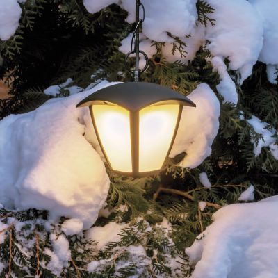 Светильник светодиодный уличный подвесной Lampione Lightstar 375070