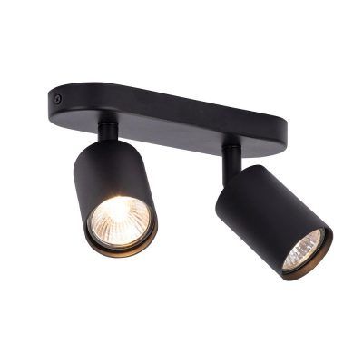 Спот Arte Lamp AQUARIUS A3226PL-2BK