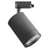 Светильник трековый Canno Lightstar 303274