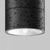 Уличный потолочный светильник Outdoor O310CL-L12GF3K