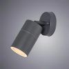 Уличный настенный светильник Arte Lamp MISTERO A3304AL-1GY