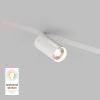 Светильник на шине Denkirs SMART SPOT DK8010-WH