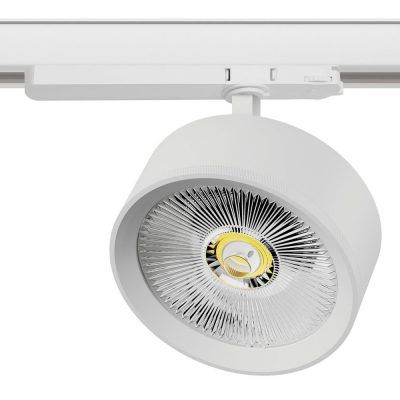 Светильник Alta Pro Lightstar A5746TRIAC