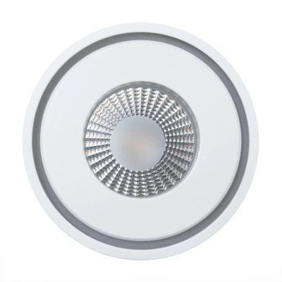 Точечный встраиваемый светильник Arte Lamp AIN A7248PL-1WH