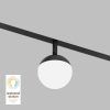 Светильник на шине Denkirs SMART MOON DK8055-BK