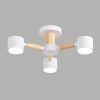 Светильник потолочный Lumion Venna 8306/3C
