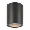 Уличный потолочный светильник Outdoor O306CL-L12GF